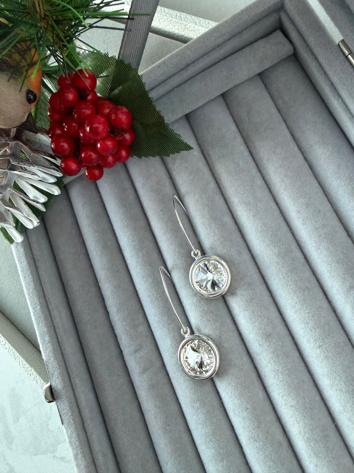 Round pendant drop earrings clear